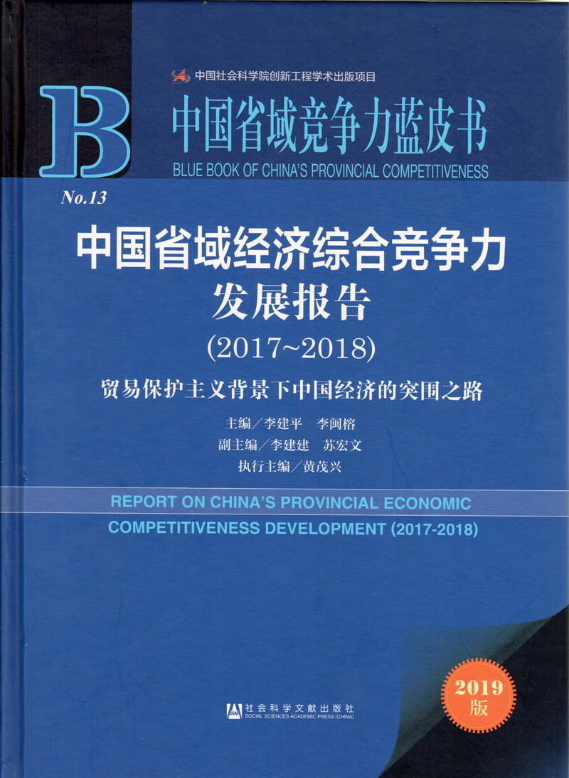 鸡巴操死你91啪啪视频中国省域经济综合竞争力发展报告（2017-2018）