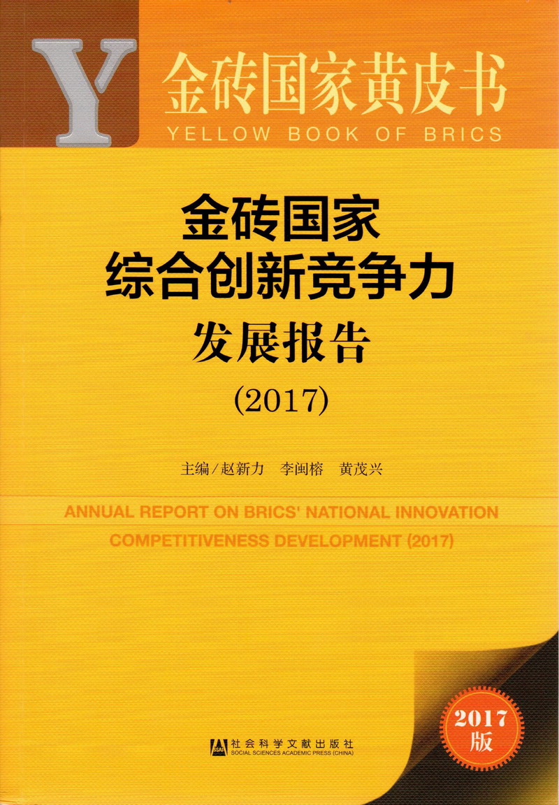 裸体女生内射网站金砖国家综合创新竞争力发展报告（2017）